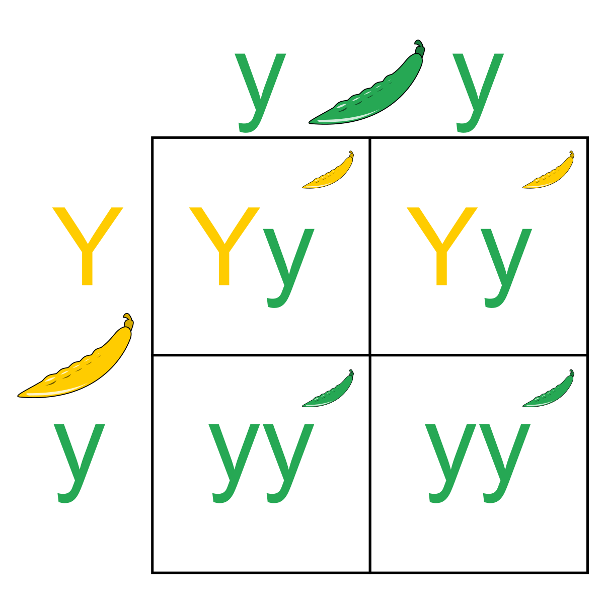 Pbroks13, CC BY-SA 3.0