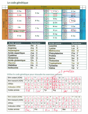 page 52 6BIOA