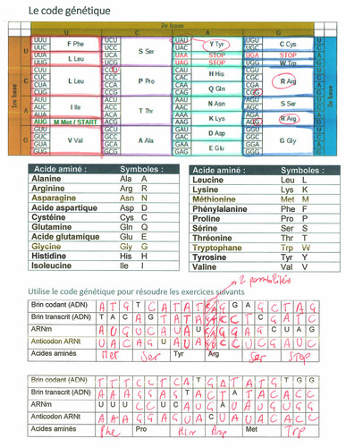 page 52 6BIOA