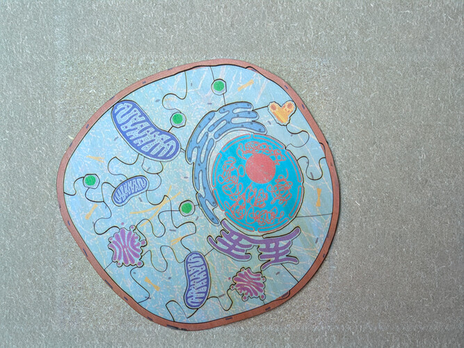 Puzzle de la cellule 030