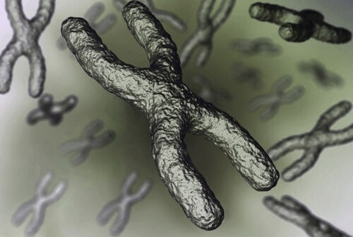 Chromosomes 