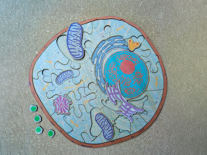 Puzzle de la cellule 028