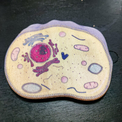 Aimants cellule 001