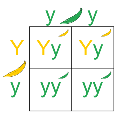 Pbroks13, CC BY-SA 3.0
