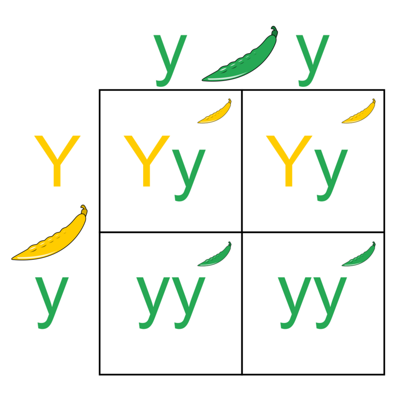 Pbroks13, CC BY-SA 3.0