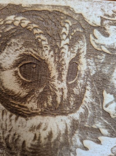 Gravure sur bois au laser d'un hibou d'après une illustration de Jemima Blackburn