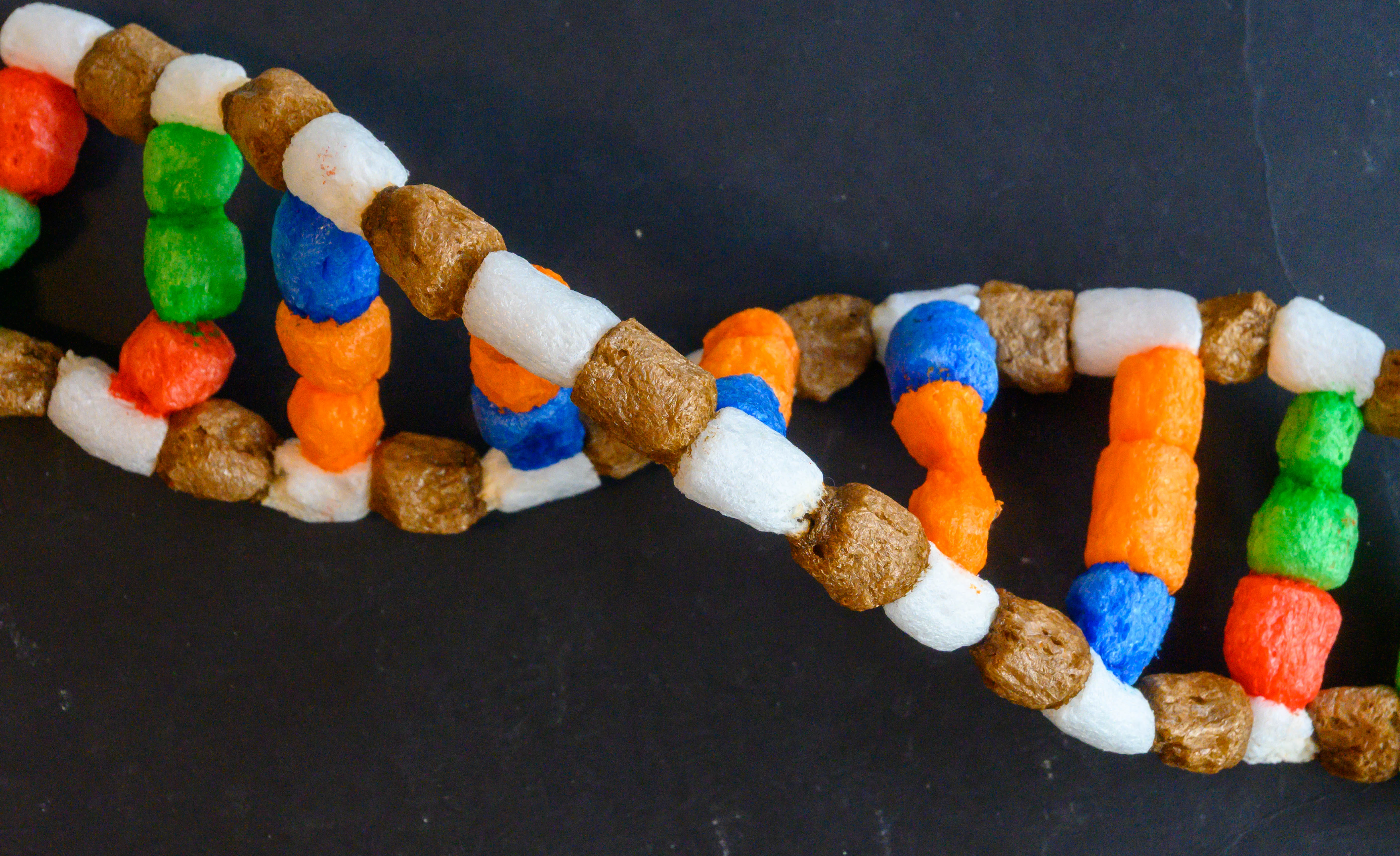 modèle 3D de la molécule d'ADN